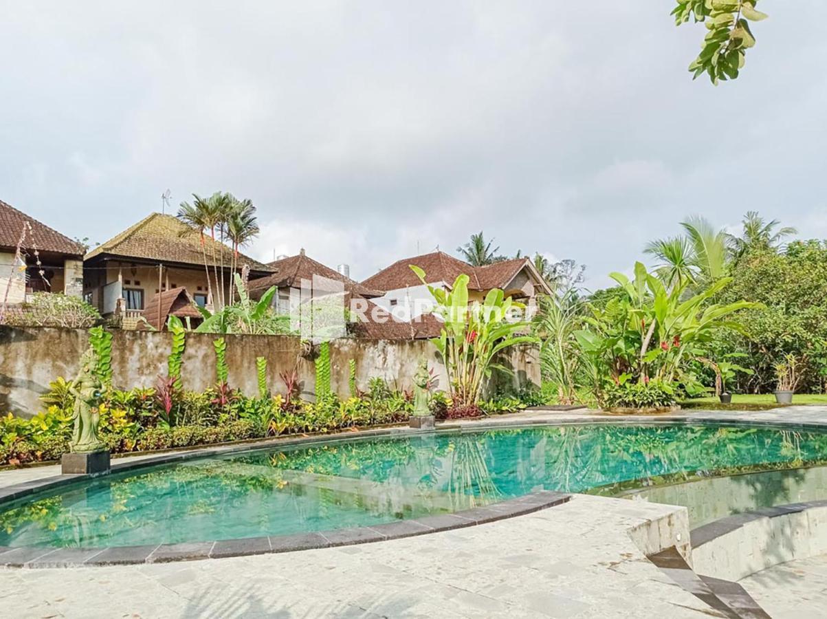Appartamento Nando House Ubud Esterno foto