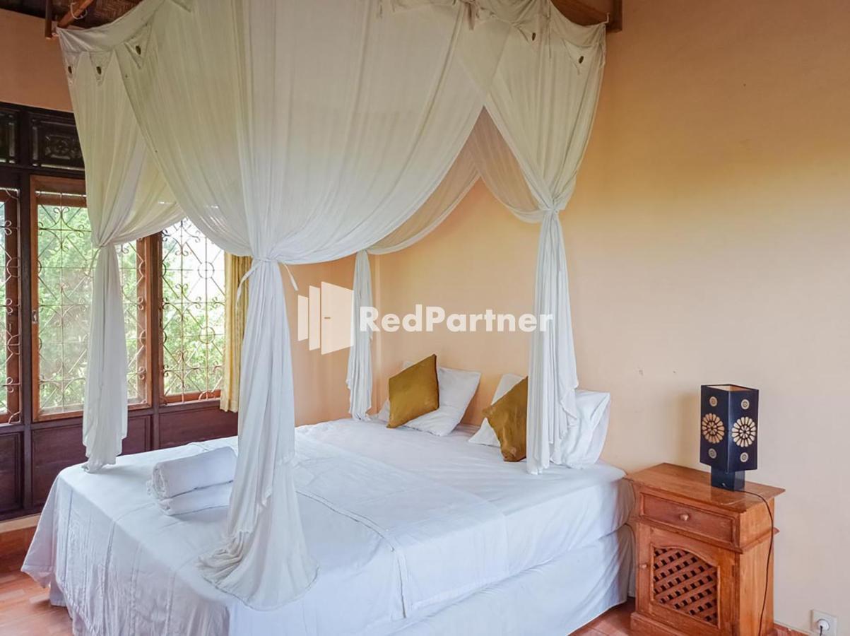 Appartamento Nando House Ubud Esterno foto